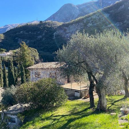 Olive Grove House Διαμέρισμα Μαλτσεζίνε Εξωτερικό φωτογραφία