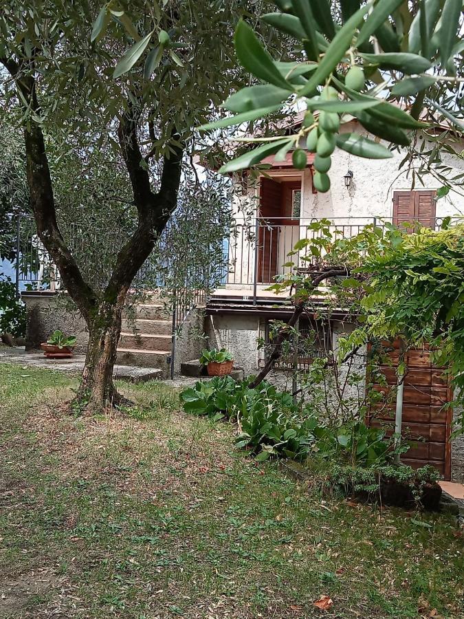 Olive Grove House Διαμέρισμα Μαλτσεζίνε Εξωτερικό φωτογραφία