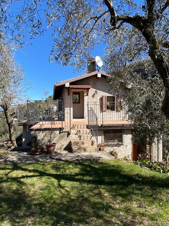 Olive Grove House Διαμέρισμα Μαλτσεζίνε Εξωτερικό φωτογραφία