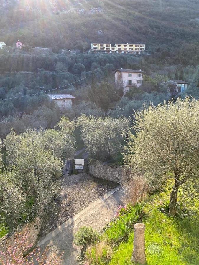Olive Grove House Διαμέρισμα Μαλτσεζίνε Εξωτερικό φωτογραφία