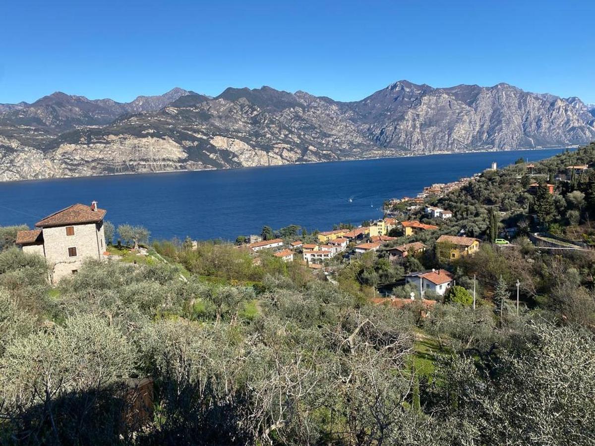 Olive Grove House Διαμέρισμα Μαλτσεζίνε Εξωτερικό φωτογραφία